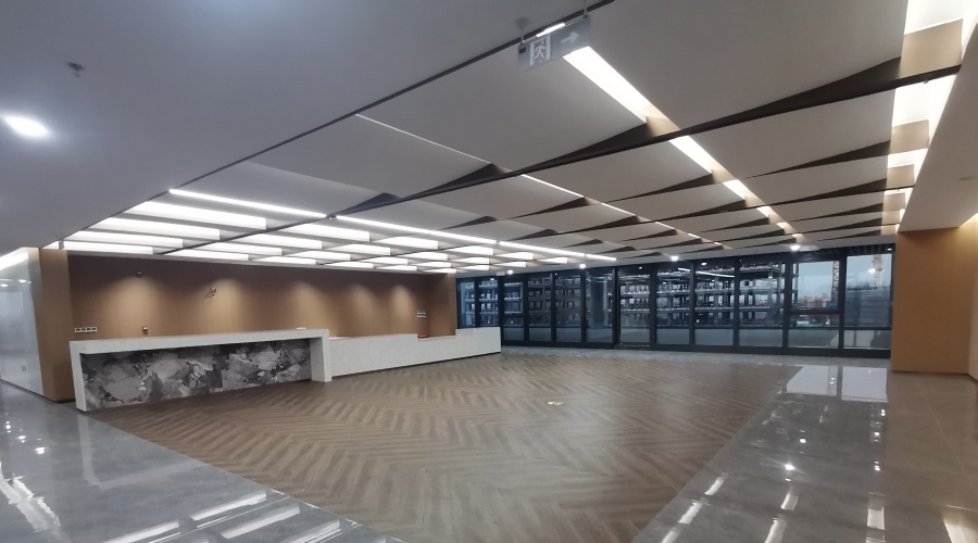 GRG異形吊頂 GRG異形吊頂